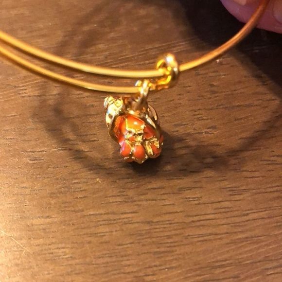 NWOT Alex and Ani Charity by Design Hermit Crab - Picture 4 of 7